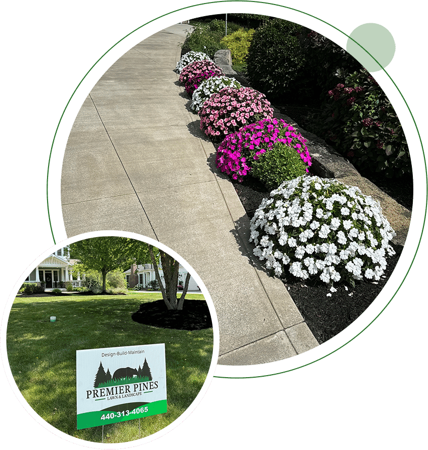 Premier Pines: A Legacy of Growth